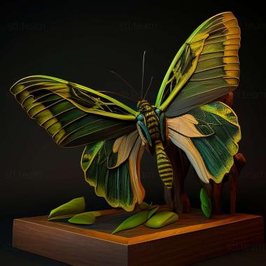 3D model Ornithoptera allotei (STL)